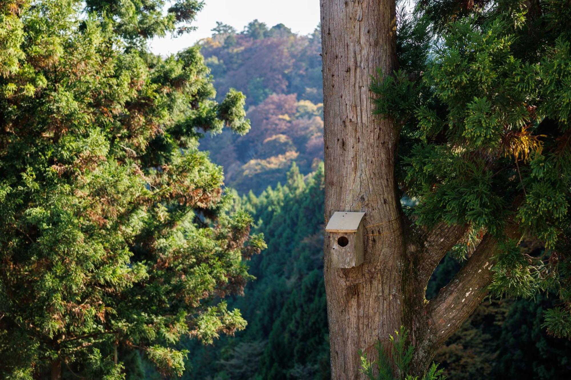 Shukubo Komadori-Sanso Ome Exterior foto